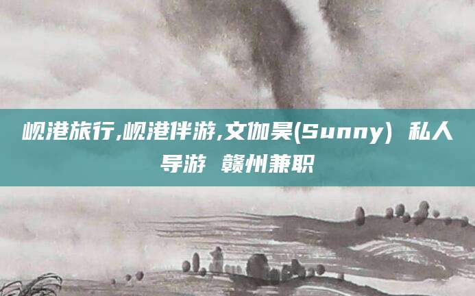 博罗岘港旅行,岘港伴游,文伽昊(Sunny) 私人导游 赣州兼职